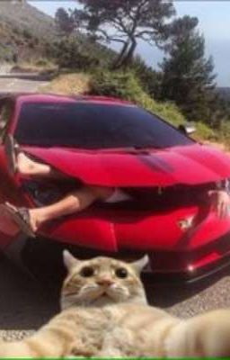 Мини истории по Трансформерам и Т/И