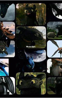 Моё Безбашенное Фэнтези.