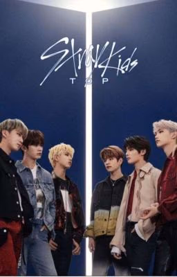 Stray Kids ( Минсоны, Хёнликсы, Чанчоны, Сынбины)