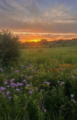 подростковая жизнь