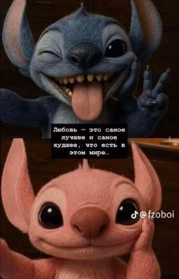 от ненависти до любви