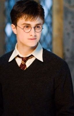 Harry Potter (Facts)