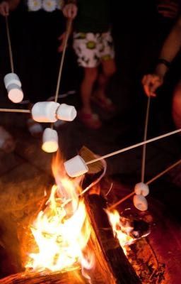 Летний лагерь «Мечта»