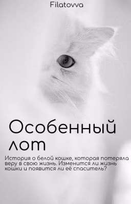 Особенный лот | Закончено