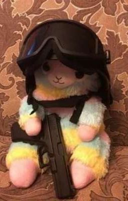 ✨Всё для книг✨