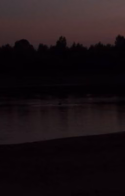 Из жизни бреду(я)щего музыканта