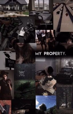 my property.