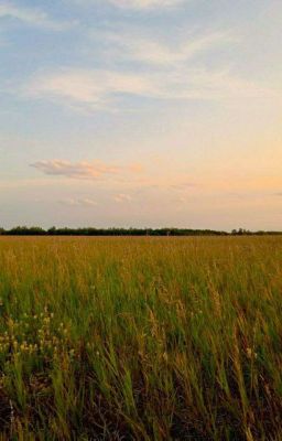 За гранью моего мира