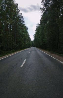 Дорога длинною в жизнь