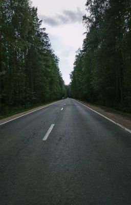 Дорога длинною в жизнь 