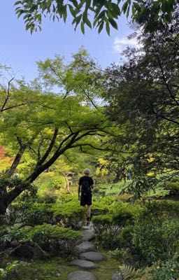 музыка спасет нас// paradeevich