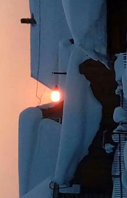 Бог