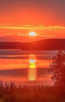 Путешественница 