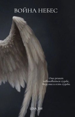 Война небес. 