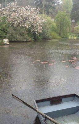 Дождь ...надеюсь Он Будет Лить Вечно 