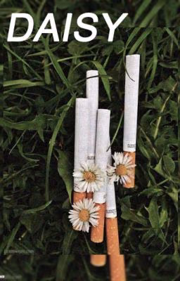 Daisy {Harry Styles}