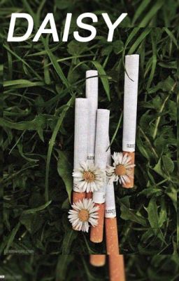 Daisy {Harry Styles}