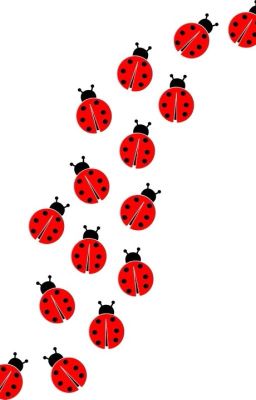 Ты никогда не узнаешь об этом