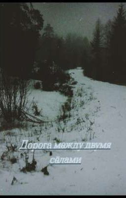 Дорога между двумя сёлами