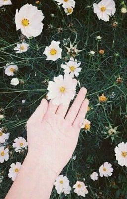🌸🌸🌸🌸ЦИТАТЫ🌸🌸🌸🌸