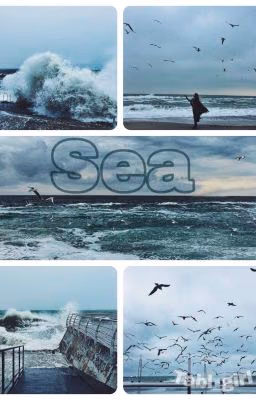 Sea