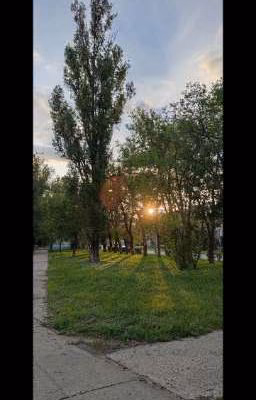 сборник стихов