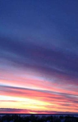 Брак по договору