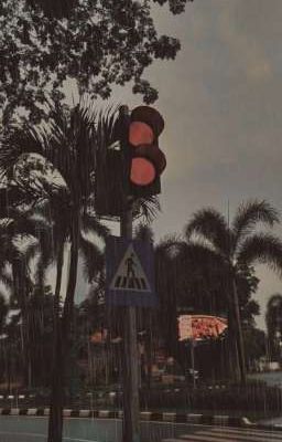 Встреча старых друзей