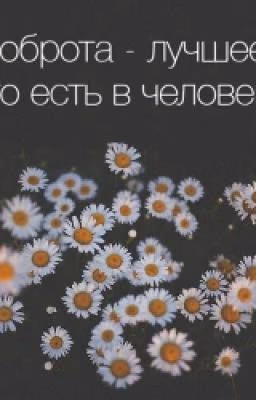 ✨Статусы И Стихи✨