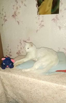 Гарри Поттер. Суд магии. Узник Азкабана