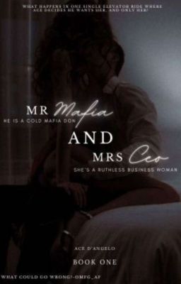 Мистер Мафия и Миссис Генеральный директор