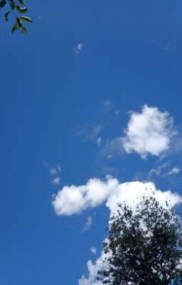 История одной Меня. 