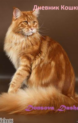 Дневник Кошки