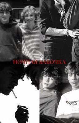 ночная бабочка