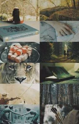Реакции Хроники Нарнии