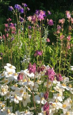 несколько лет спустя 