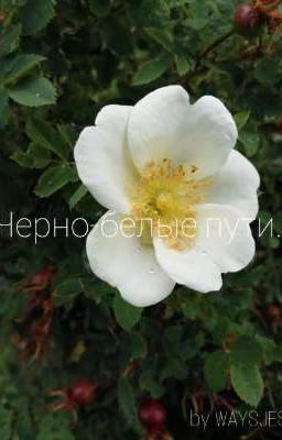 Черно-белые пути.
