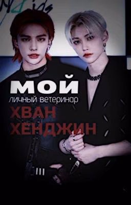 мой личный ветеринар, хван хенджин'(хëнликсы)