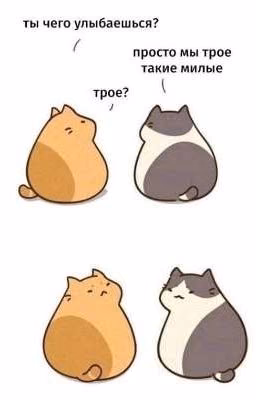 мемы