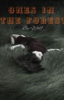 Однажды в лесу...