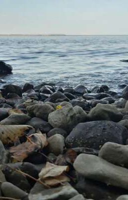 Чтобы ты заметила