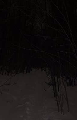 Опустевшая зима.[ИНМТ]