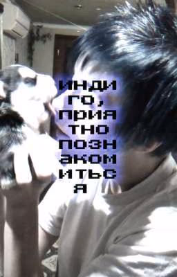 Индиго, приятно познакомиться