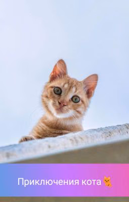 Приключения кота.
