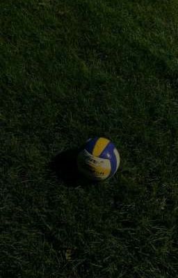 Волейбольная жизнь