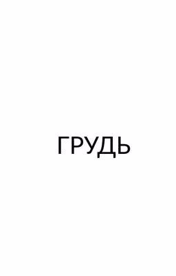 Грудь.