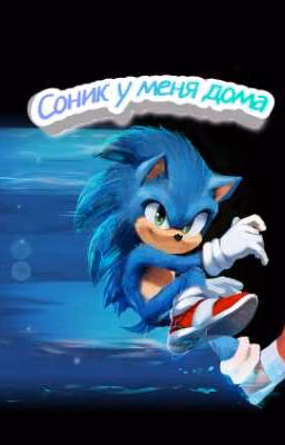 Соник у меня дома | Sonic [ЗАМОРОЖЕН]