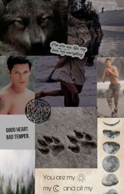 imagines Пол Лэйхот