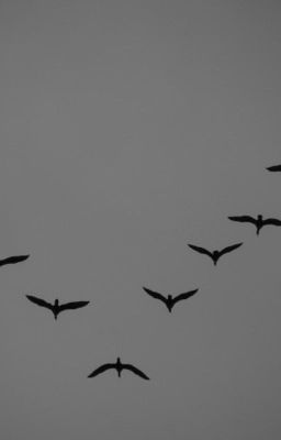 Пьяница Стефано