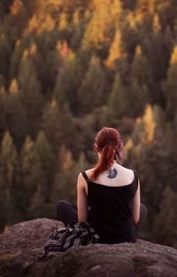 Приключения только начинаются!